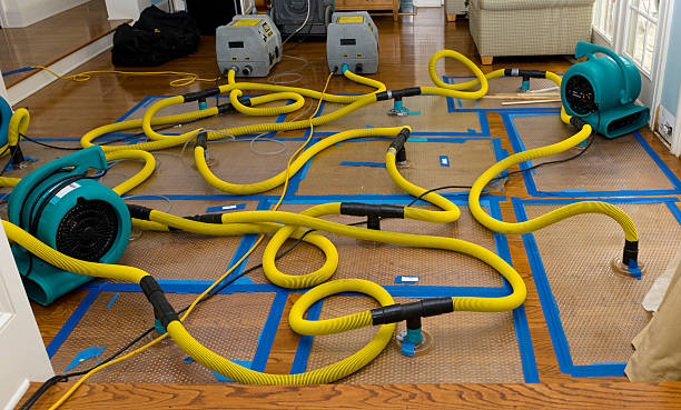 Professional Storm Water Damage Restoration technician working in New Braunfels, TX
